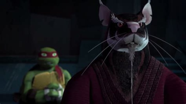 Ninja Turtles: The Fascinating Story Behind the Name of the Rat