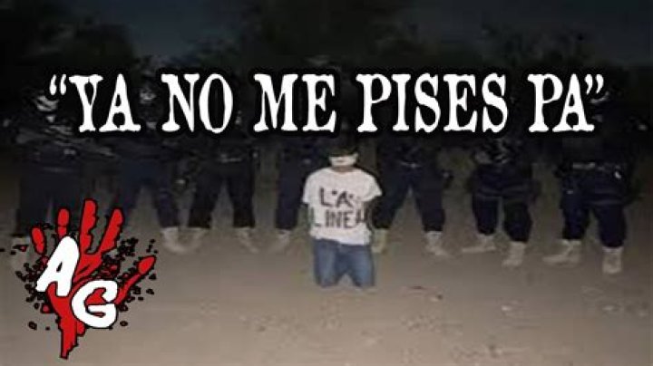 No Me Pises Pa: The Cultural Phenomenon Unveiled