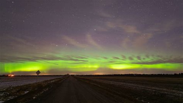 Northern Lights Forecast in Reykjavik: Your Ultimate Guide to Witnessing the Aurora Borealis