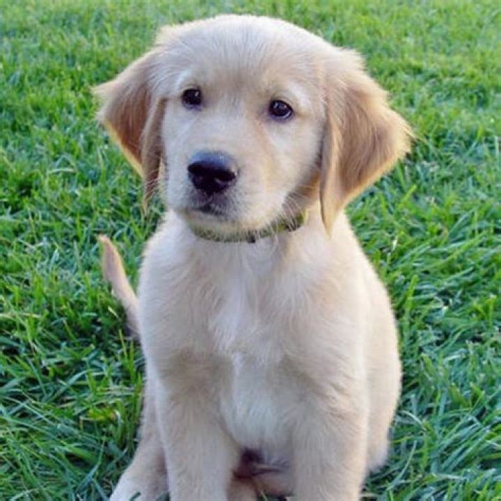 Exploring the Enigmatic World of nycsouthpaw bluesky