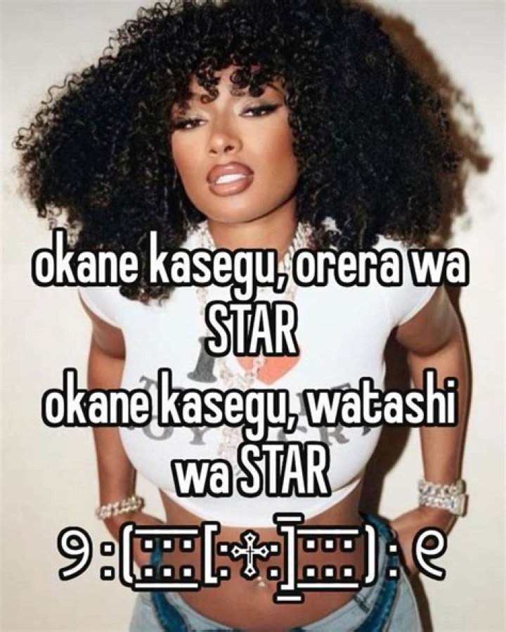 Understanding the Meaning of "Okane Kasegu Orera wa Star"