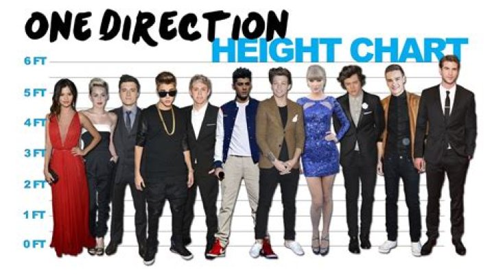 Discovering The Heights of One Direction: How Tall Are They Really?