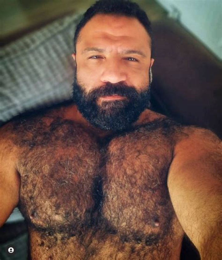 Exploring the World of Osos Maduros: A Journey into Maturity and Charisma