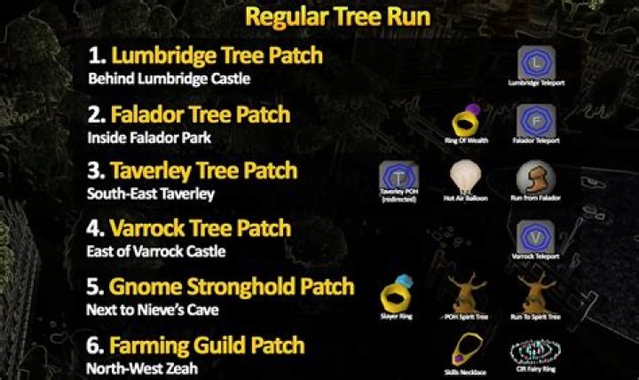 Mastering OSRS Tree Patches: A Comprehensive Guide for Success