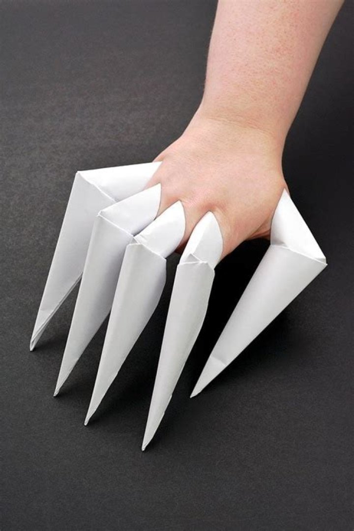 Understanding Paper Claws: Innovation in Sustainable Packaging