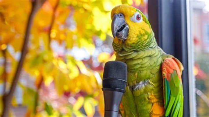 Parrot Bird Speaking: The Fascinating World of Talking Birds