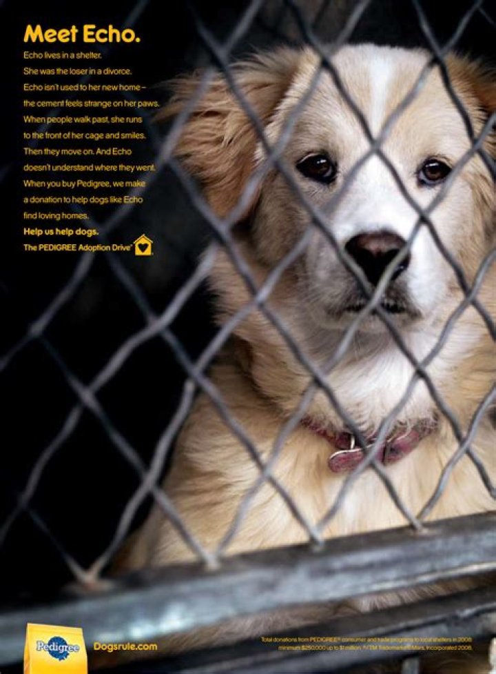 Mastering Pathos Ads: A Comprehensive Guide to Emotional Advertising