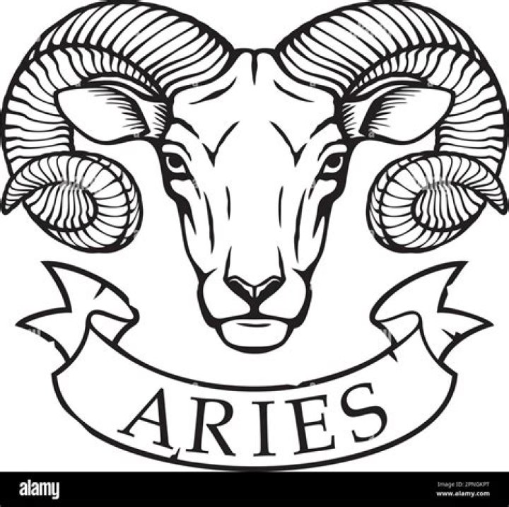 Exploring the World Through Pictures of Aries