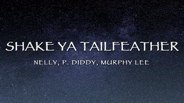 Unraveling the Impact of "Piddy feat Nelly Murphy Leehake Ya Tailfeather"