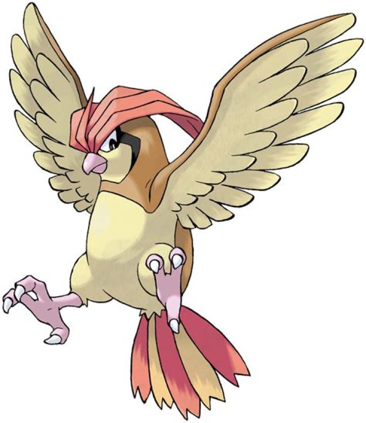 Pidgeotto Evolution: Understanding the Transformation of a Beloved Pokémon
