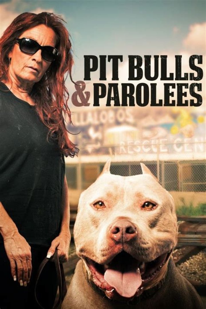Unveiling the Compassion: Pitbulls and Parolees