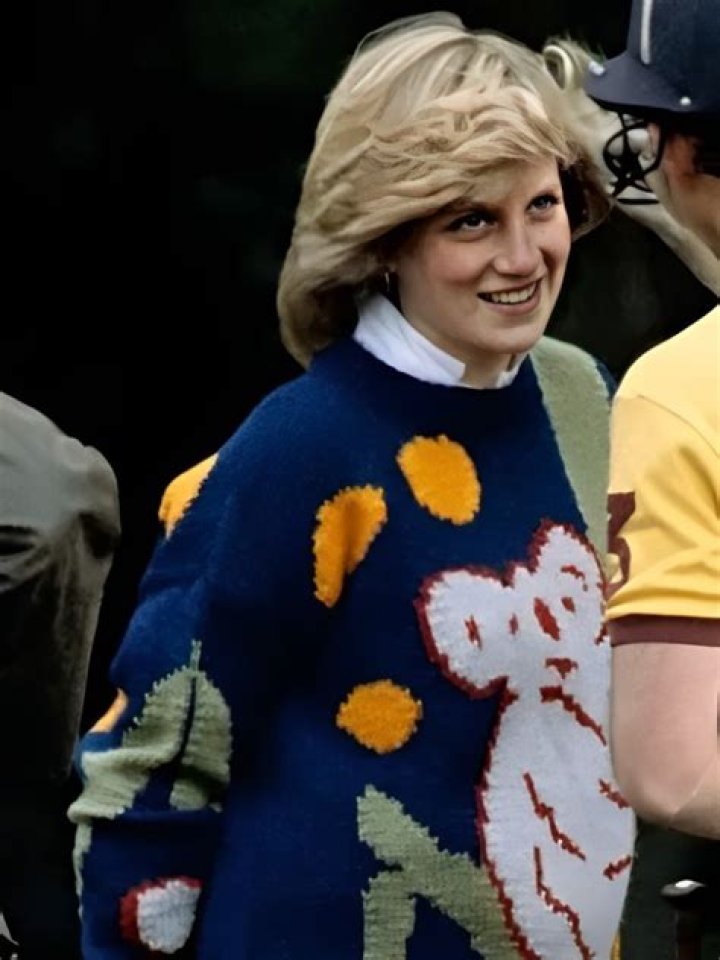 Unraveling the Charm of Princess Diana's Sweater: A Cultural Icon