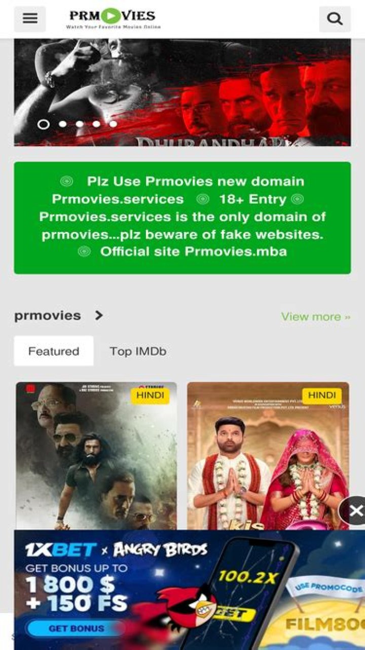 Exploring Prmovies and Its Impact on Netflix Streaming