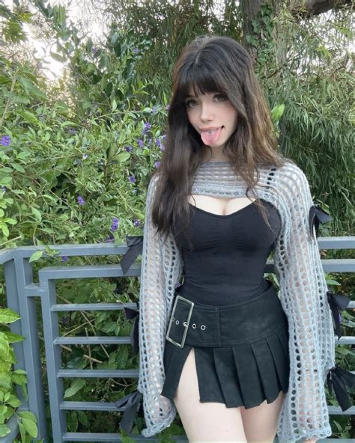 Puppiwii: The Whimsical World of Adorable Pets