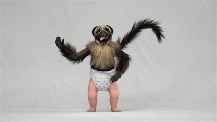 Puppy Monkey Baby: The Unforgettable Creature of Commercial Fame