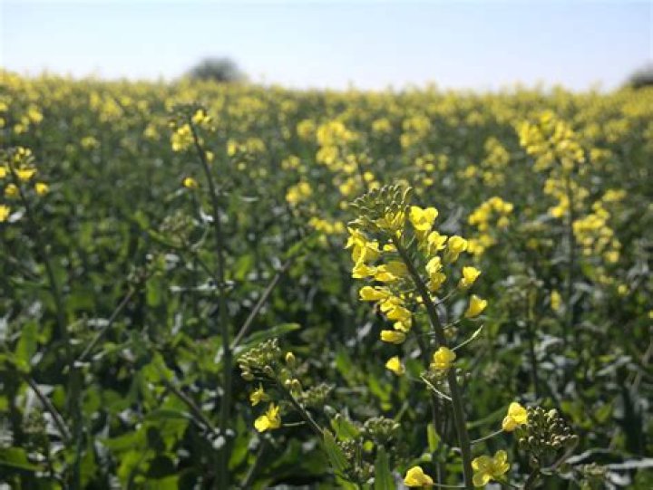 Raps in Jail: The Realities and Stories Behind Incarcerated Rappers