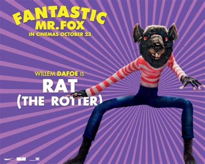 Exploring the Character of Rat from Fantastic Mr. Fox: A Deep Dive