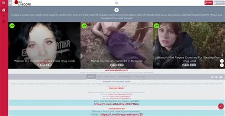 Discovering the Wonders of Reeleak.com