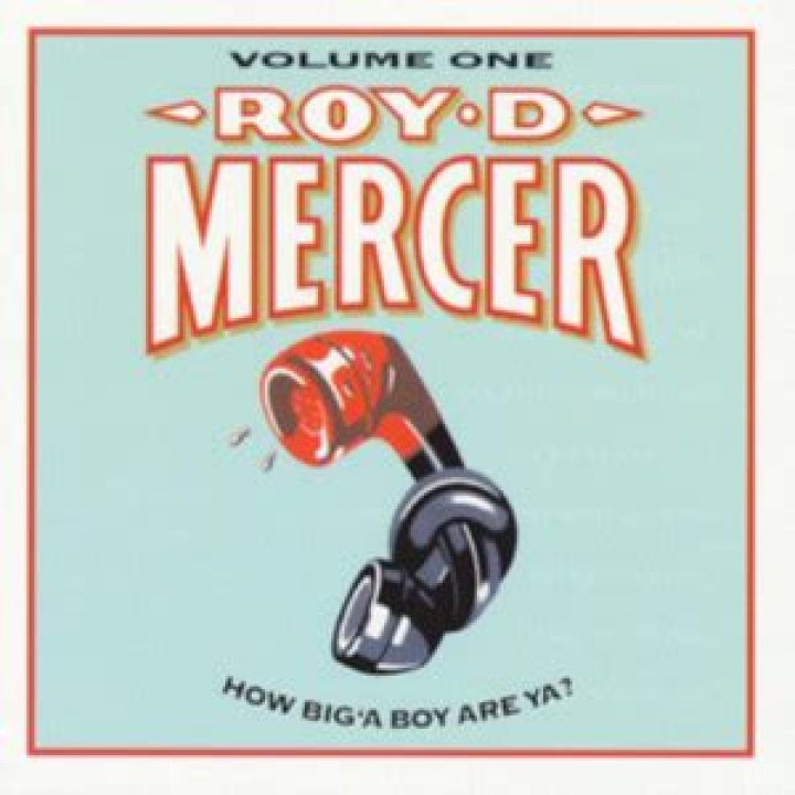 Roy Damn Mercer: The Remarkable Story of a Visionary Entrepreneur