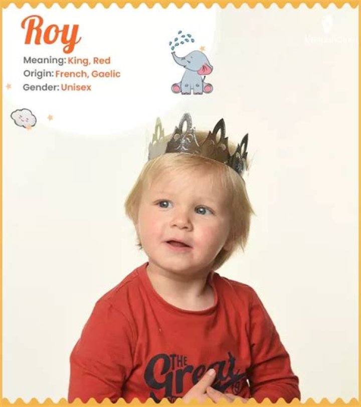 Roy: The Iconic Journey and Legacy