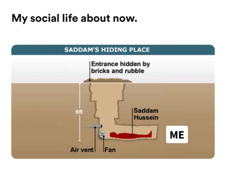 Decoding the Saddam Hussein Hiding Meme: A Cultural Phenomenon