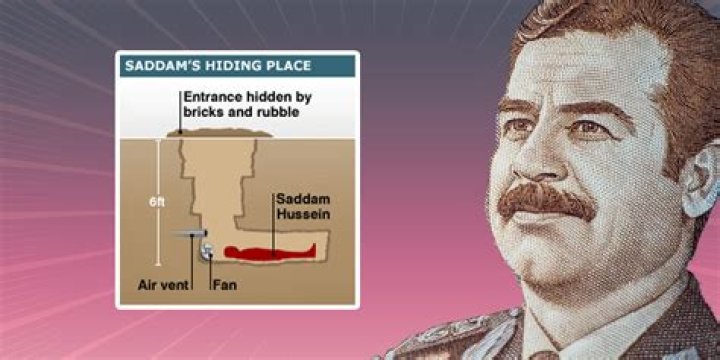 Exploring the Impact and Popularity of the Saddam Hussein Meme