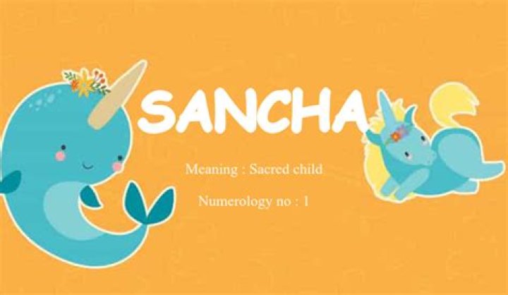 Understanding the Meaning of Sancha: A Comprehensive Guide