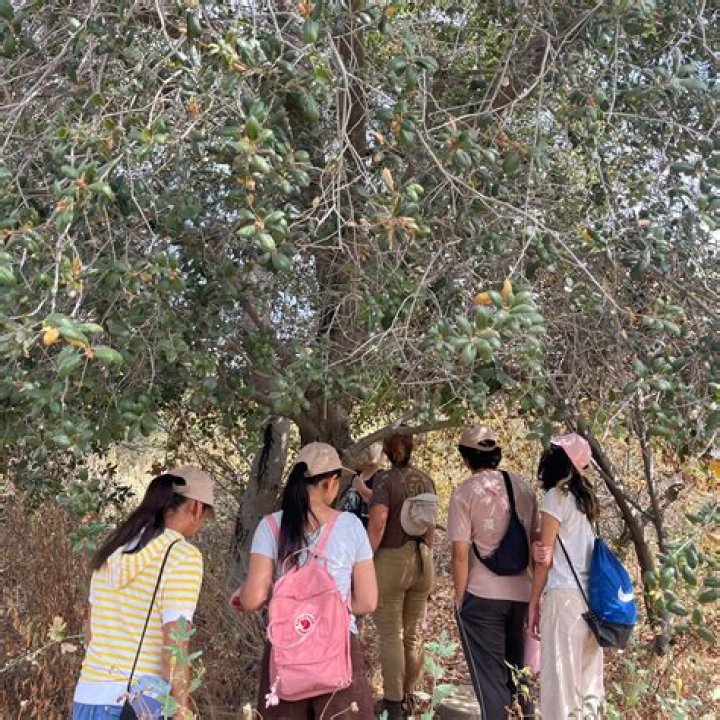 Santa Fe Dam Nature Center: A Paradise for Nature Enthusiasts