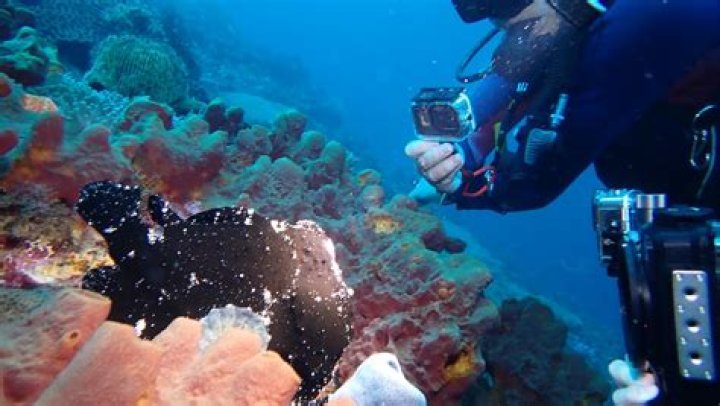 Understanding SD Point E: A Comprehensive Guide