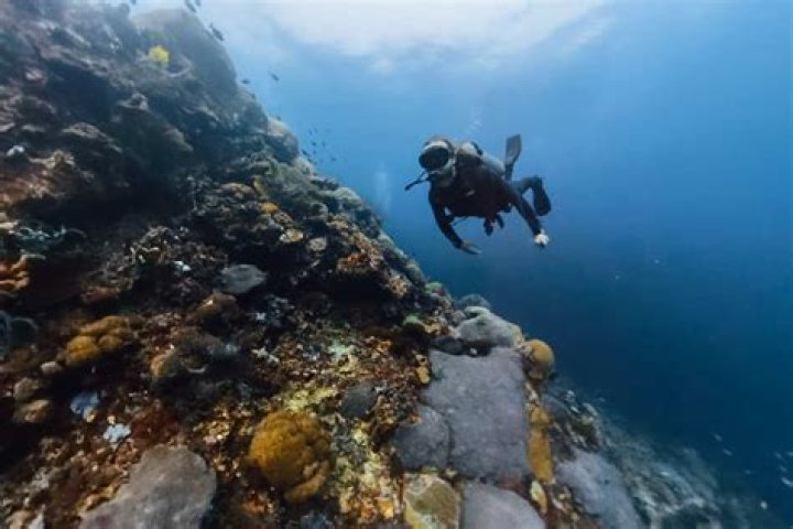 Understanding SD Point.in: A Comprehensive Guide to Its Features and Benefits