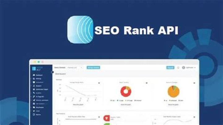 Unlocking the Power of SEO Rank API for Your Business