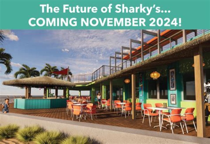 Sharky's Beach Venice Florida: The Ultimate Guide to Fun, Sun, and Adventure