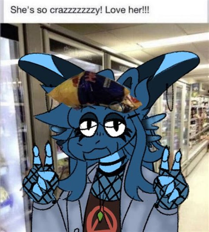 She's So Crazy, Love Her: An Enigmatic Journey