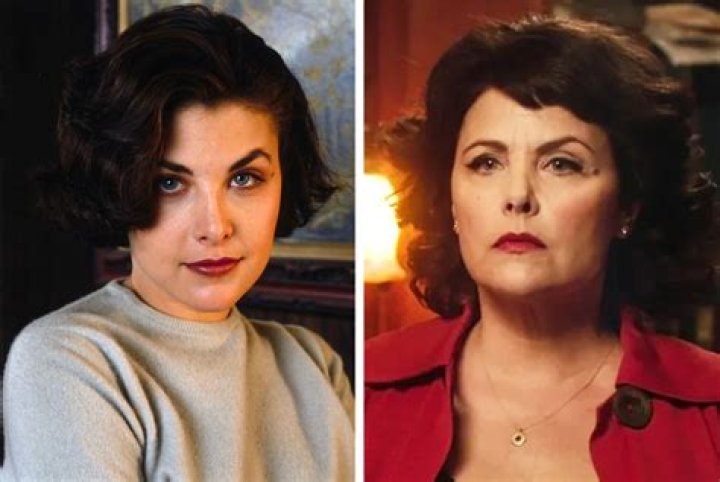 Sherilyn Fenn and TV Shows: A Journey Through Career and Fame