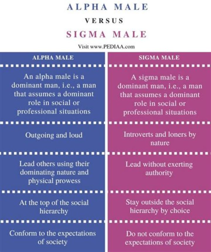 Sigma Male: The Complete Definition and What It Truly Means
