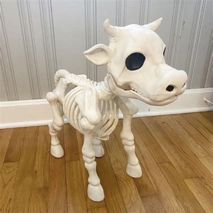 Skeleton Cow Tractor Supply: A Comprehensive Guide to the Unique Agricultural Trend