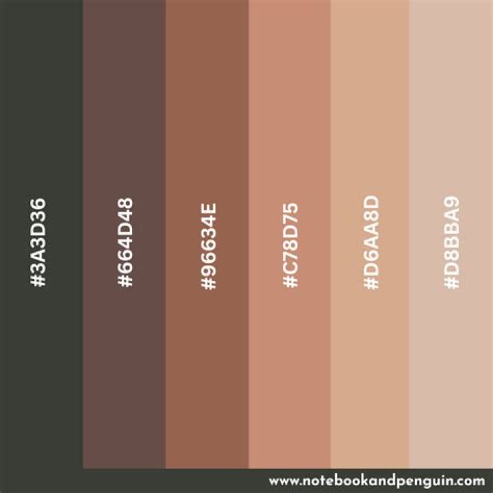 Understanding Skin Color Hex: A Comprehensive Guide