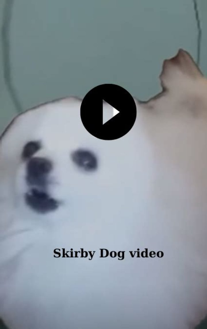 Skirby Dog Video Full: The Ultimate Guide to Understanding and Enjoying the Trend