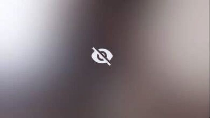 All You Need to Know About Skirby Dog: The Ultimate Guide