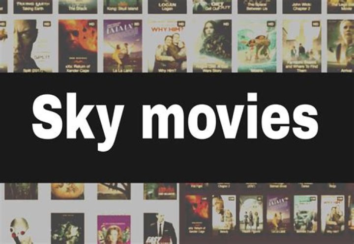 SkymoviesHD.in 2024: A Comprehensive Guide to the Popular Movie Streaming Platform