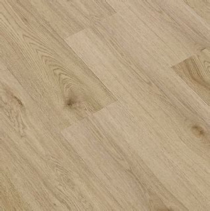 Sonora Regal: A Comprehensive Guide to Luxury and Opulence