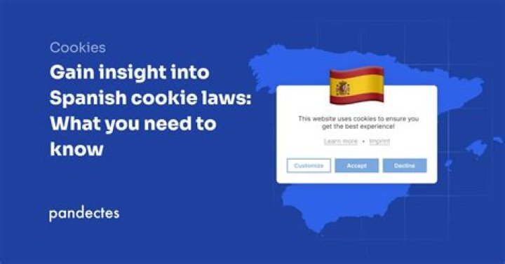 Spanish for Cookie: A Comprehensive Guide to Understanding Cookie Terminology in Spanish