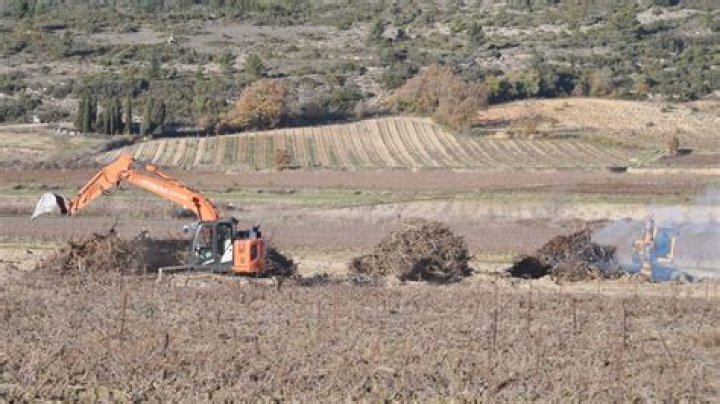 Unveiling the World of Spiderman Sophie Rain: A Unique Twist on the Iconic Superhero
