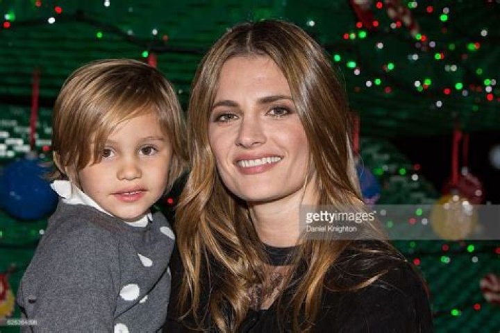 Stana Katic's Journey to Motherhood: A Closer Look