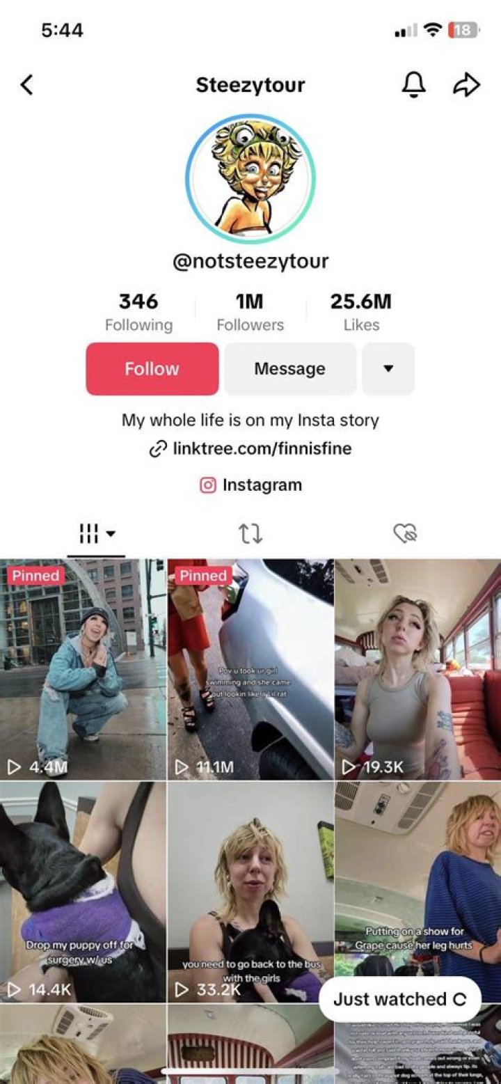 Unraveling the Mystery Behind the Steezytour Leak