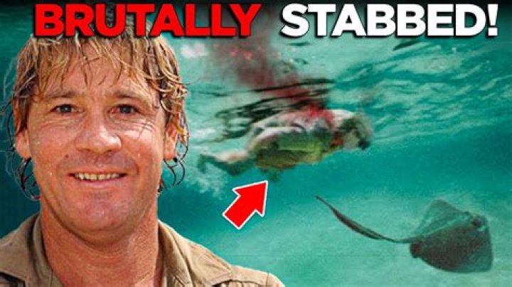 Unveiling the Truth Behind Steve Irwin's Death: A Comprehensive Look