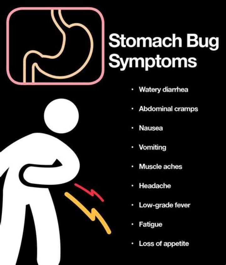 Understanding Stomach Bug Symptoms in 2024