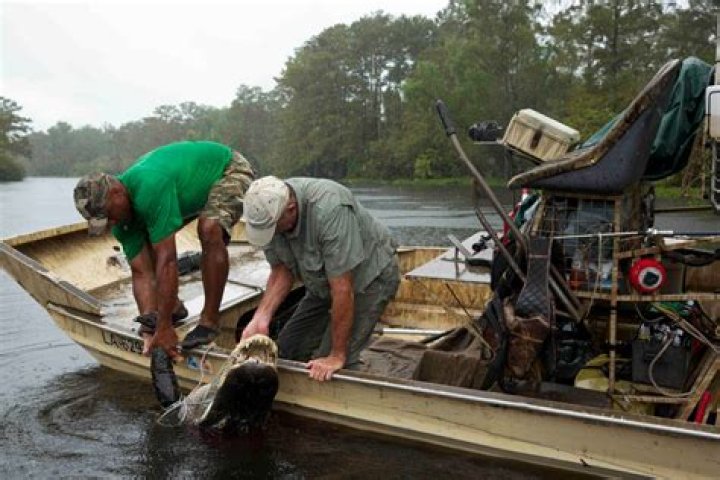 Swamp People Nabbed in Louisiana | Arrests and Charges
