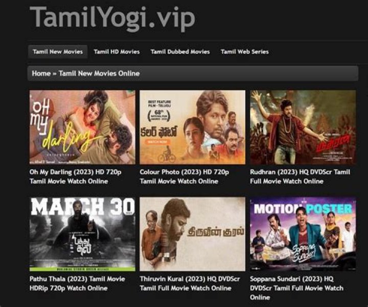 Tailyogi: The Revolutionary Approach to Health and Wellness