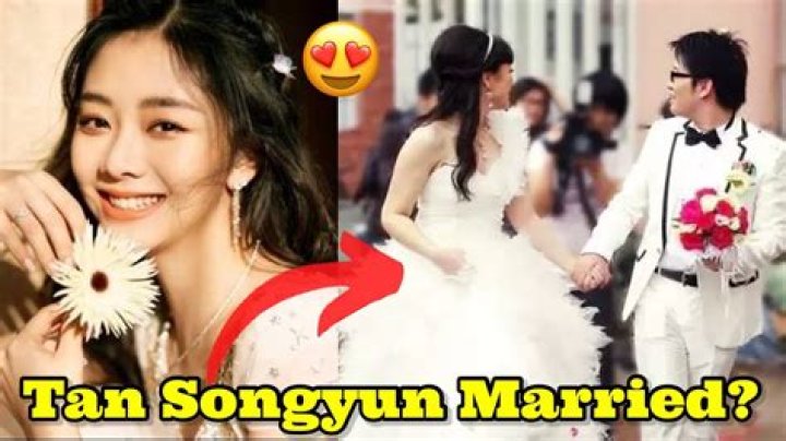 Tan Songyun's Husband: All You Need to Know